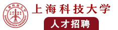 大鸡巴头子操逼视频